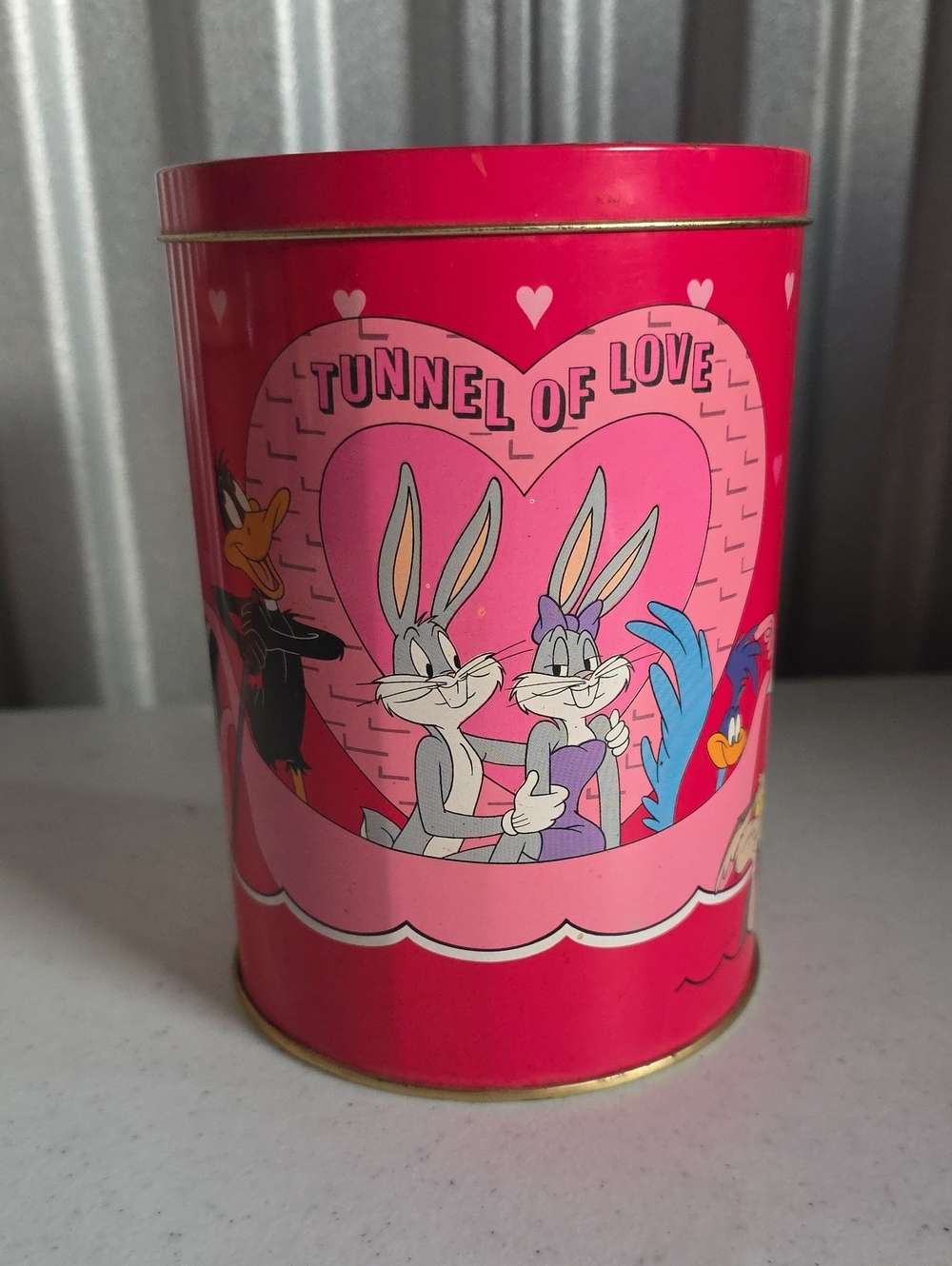 Warner Bros. 'Tunnel of Love' Pink Decorative Tin Storage